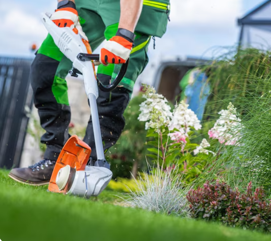 Bills Wipper Snipping